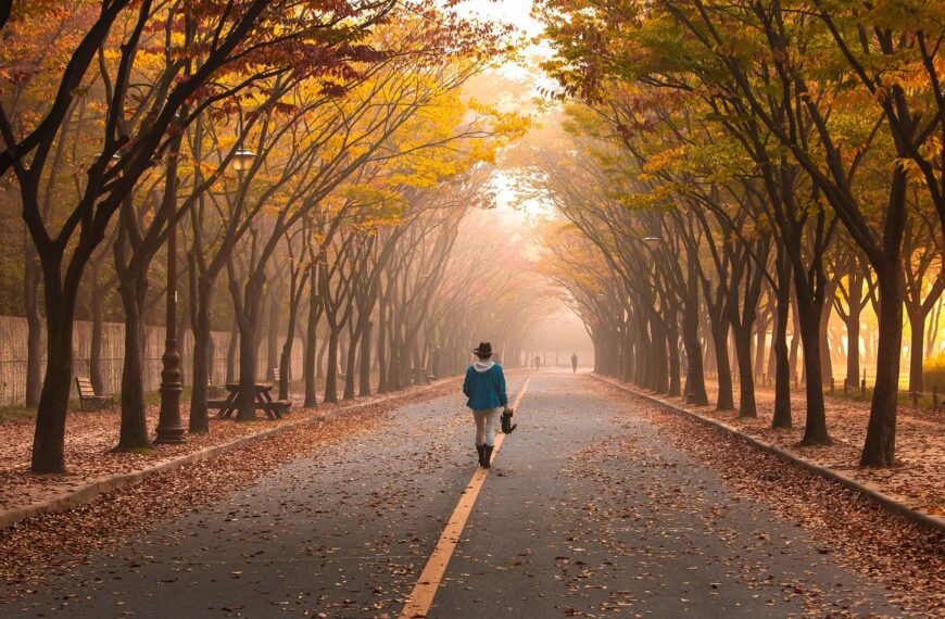 road, pavement, woman, trees, walk, girl, fog, walking, roadway, avenue, nature, mist, leaves, foliage, autumn, fall, park