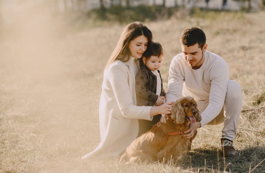 family, animal, dog, pet, love, parents, garden, nature, lawn, canine