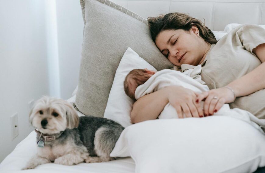 Caring mother with cute newborn baby sleeping peacefully on comfortable bed near adorable hairy morkie in light bedroom at home