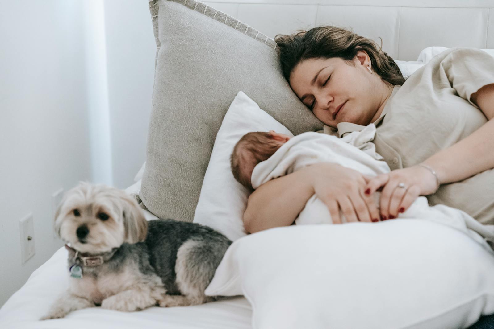 Caring mother with cute newborn baby sleeping peacefully on comfortable bed near adorable hairy morkie in light bedroom at home