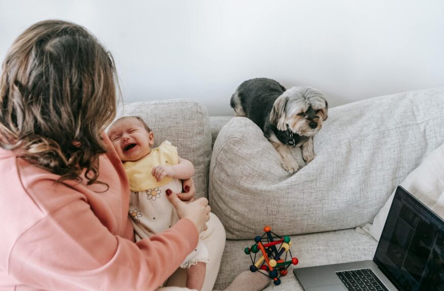 A mother consoles her crying baby on a sofa while a pet dog sits calmly nearby.
