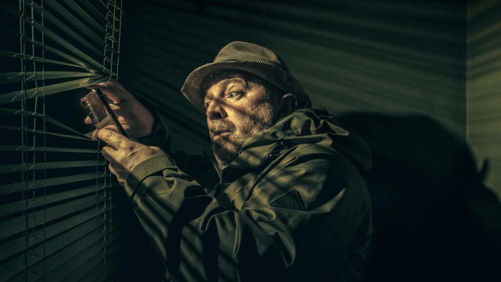 private investigator, surveillance, taking photos, portrait, man, dark, night, window, home, nosey, hilarious, curious