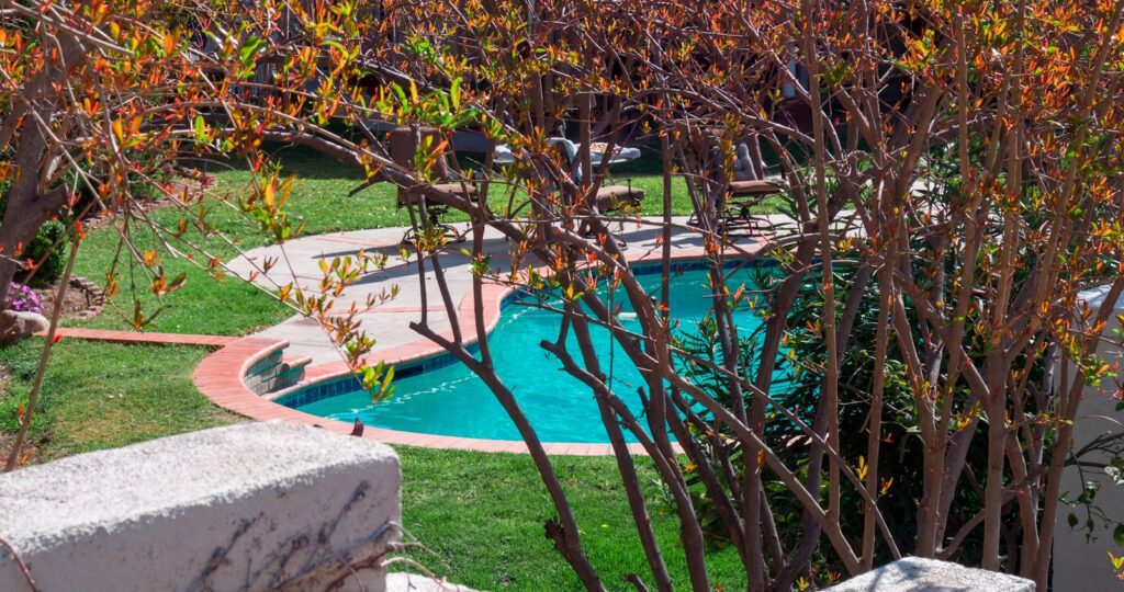 green leaf tree near swimming pool during daytime