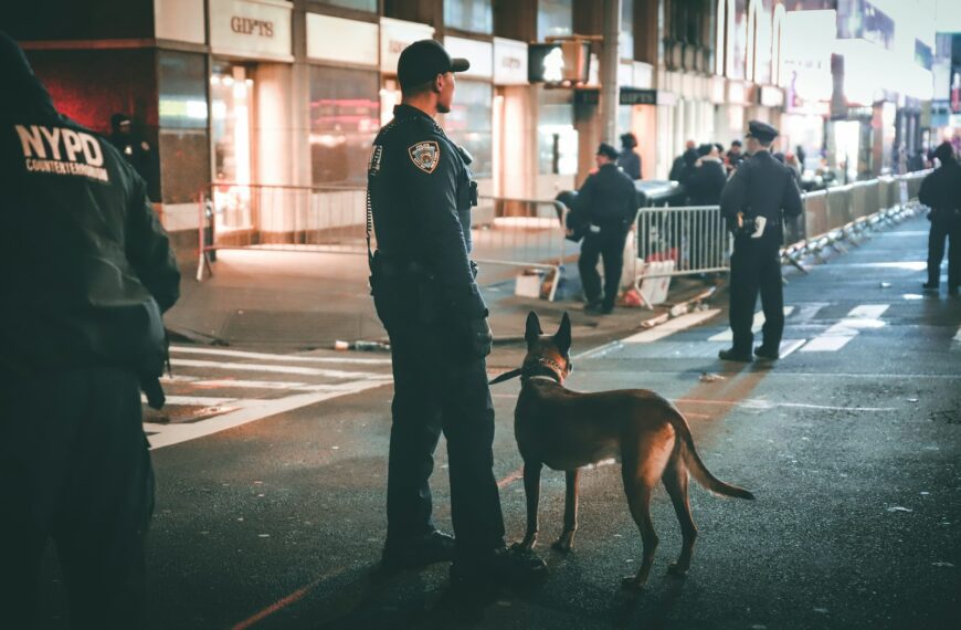 man in black jacket and pants walking with brown short coated dog on street during daytime
