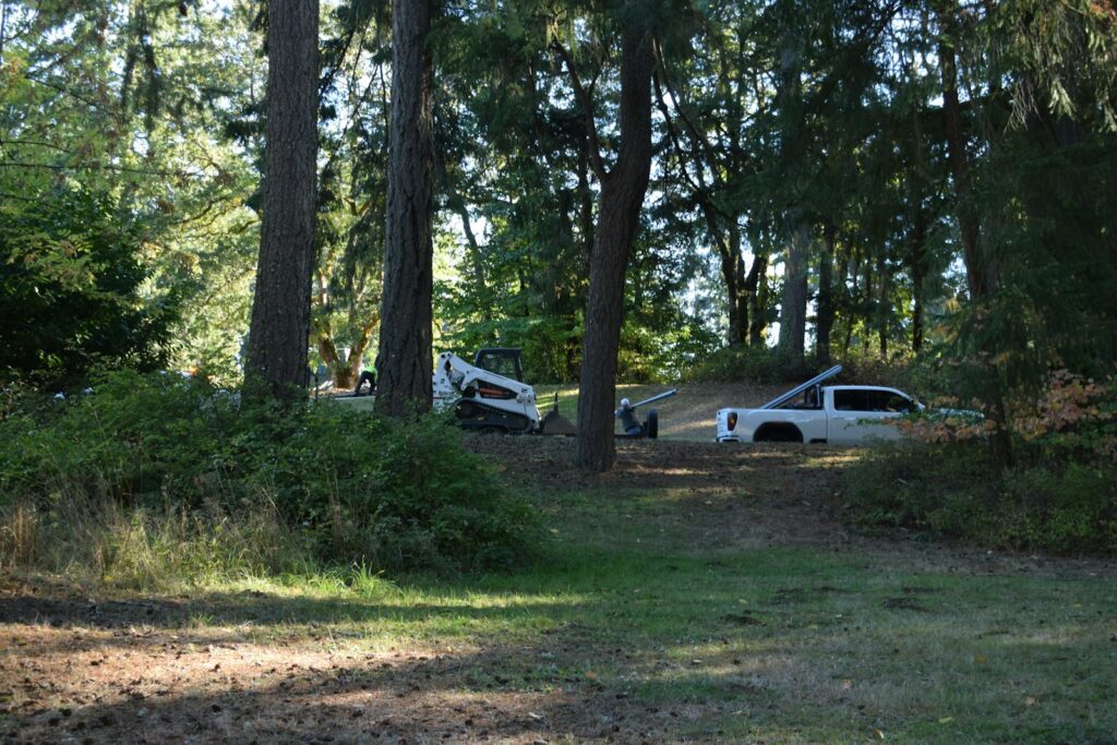 Two trucks parked in a wooded area