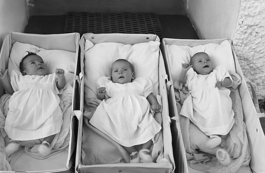 a couple of babies that are in some boxes