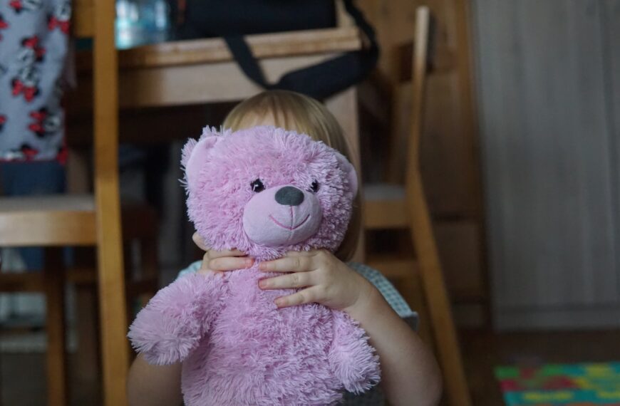 girl holding pink bear plush toy