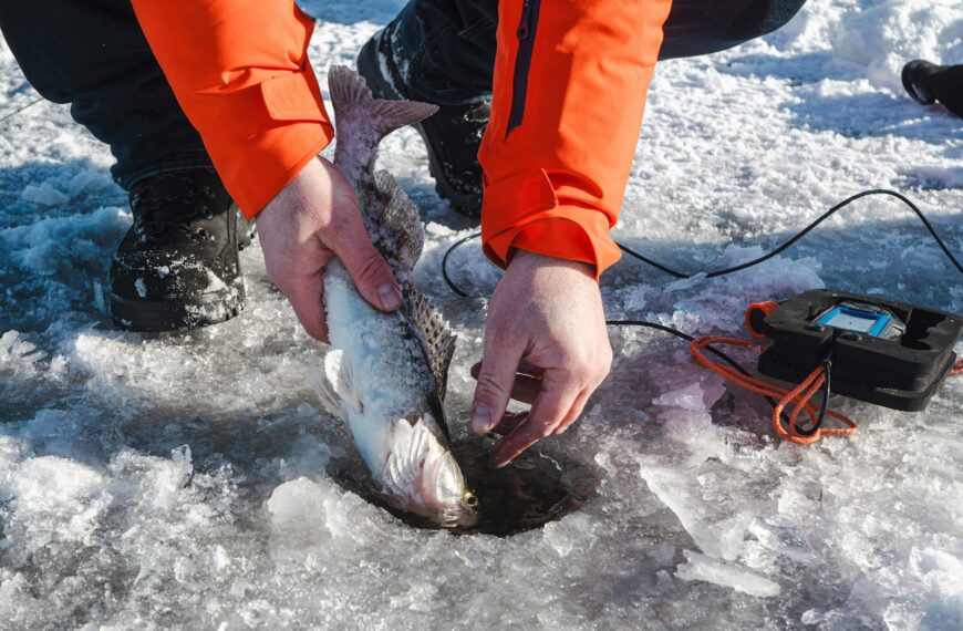 Someone is ice fishing and holding a fish.