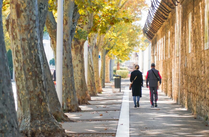 Two people walk down a tree-lined sidewalk.