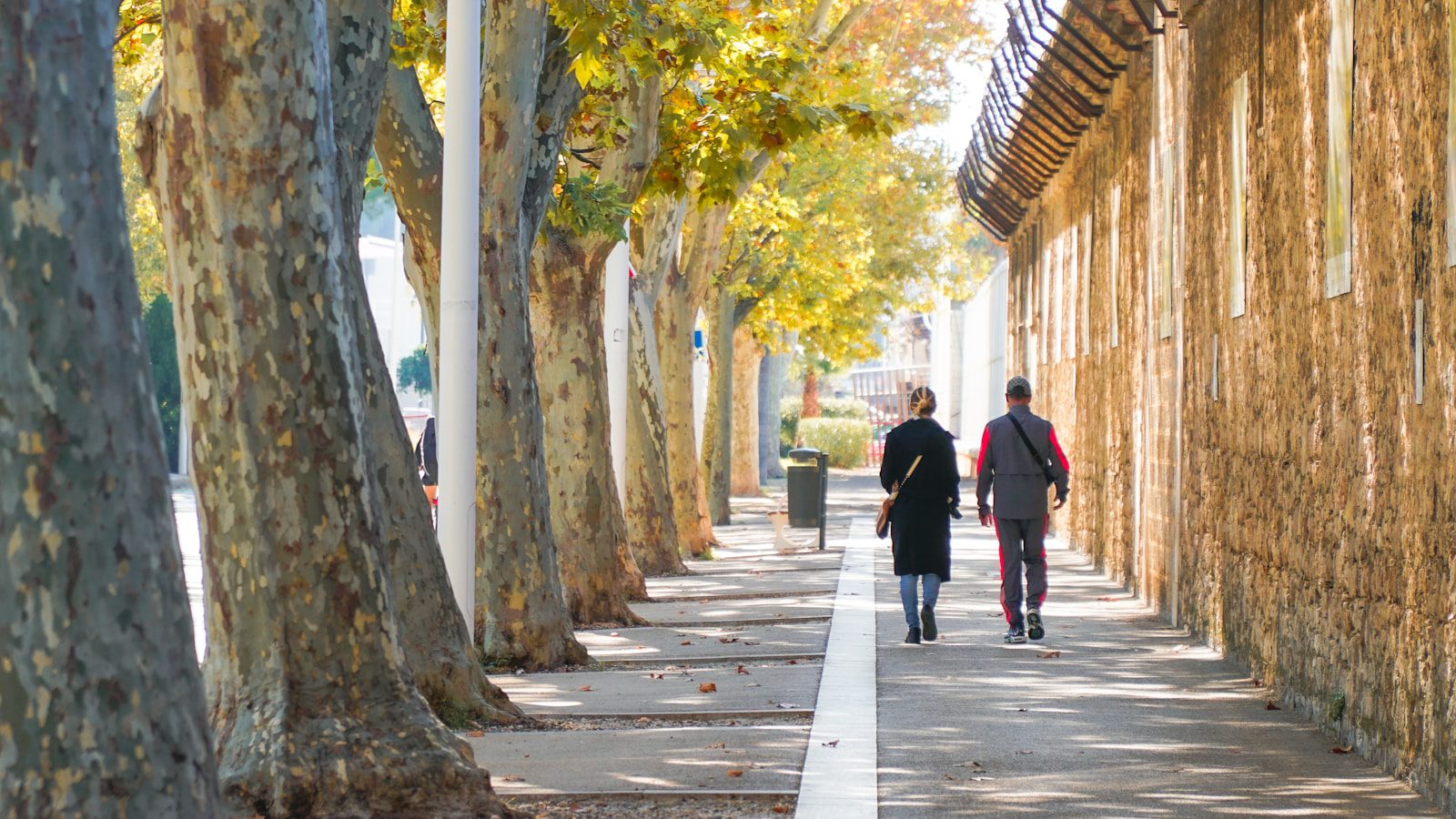 Two people walk down a tree-lined sidewalk.