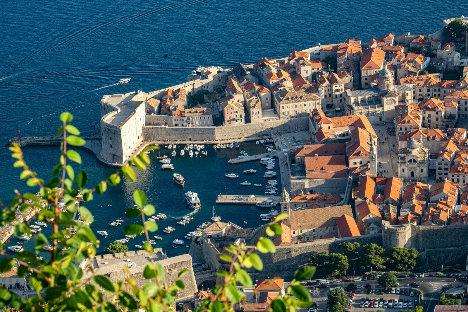 aerial view of city buildings near body of water during daytime