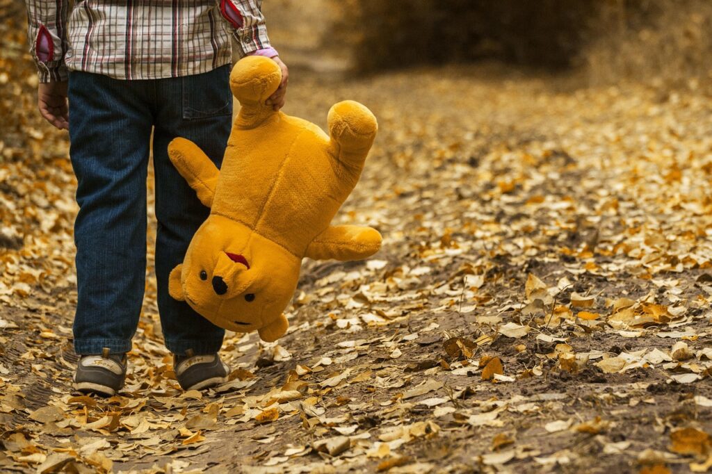 child, teddy bear, nature, fall, autumn, teddy, walk, stuffed toy, plush toy, boy, kid, young, leaves, outdoors