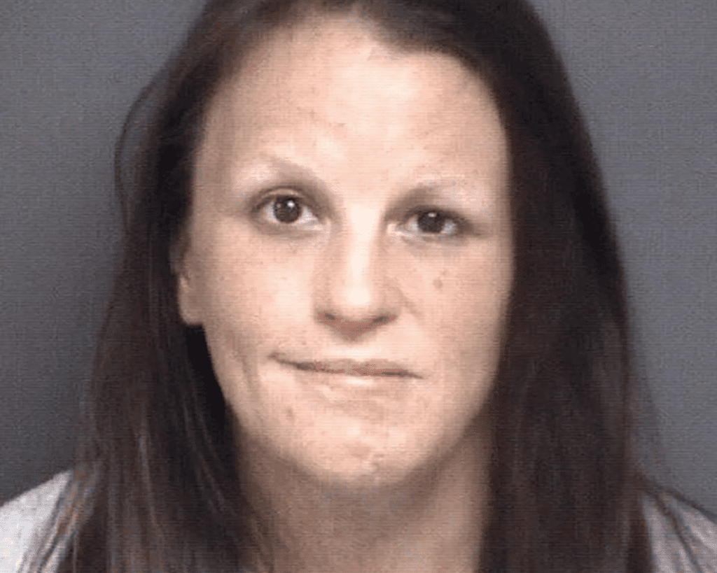 North Carolina Woman Accused of Leaving Toddler and 3-Month-Old in Hot Car While Shoplifting, Then Misleading Police About Where They Were