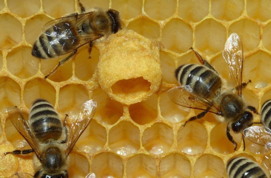 A mom says the “queen bee” of her neighborhood&hellip;