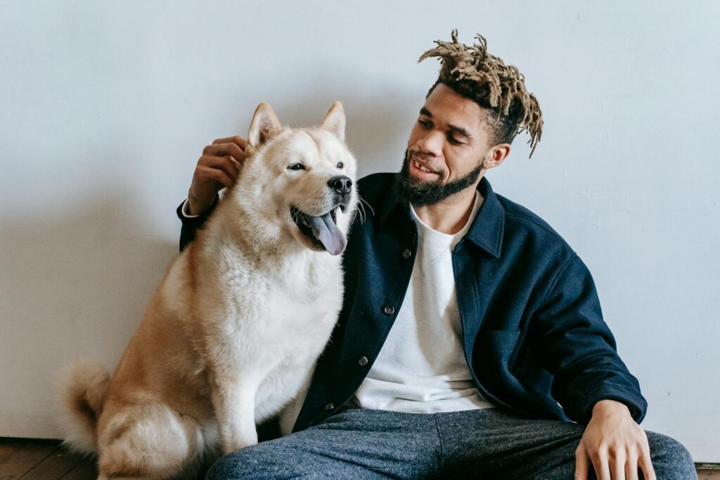 Caring African American male with dreadlocks patting fluffy cute funny Akita Inu dog with tongue out