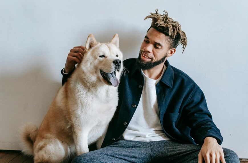 Caring African American male with dreadlocks patting fluffy cute funny Akita Inu dog with tongue out