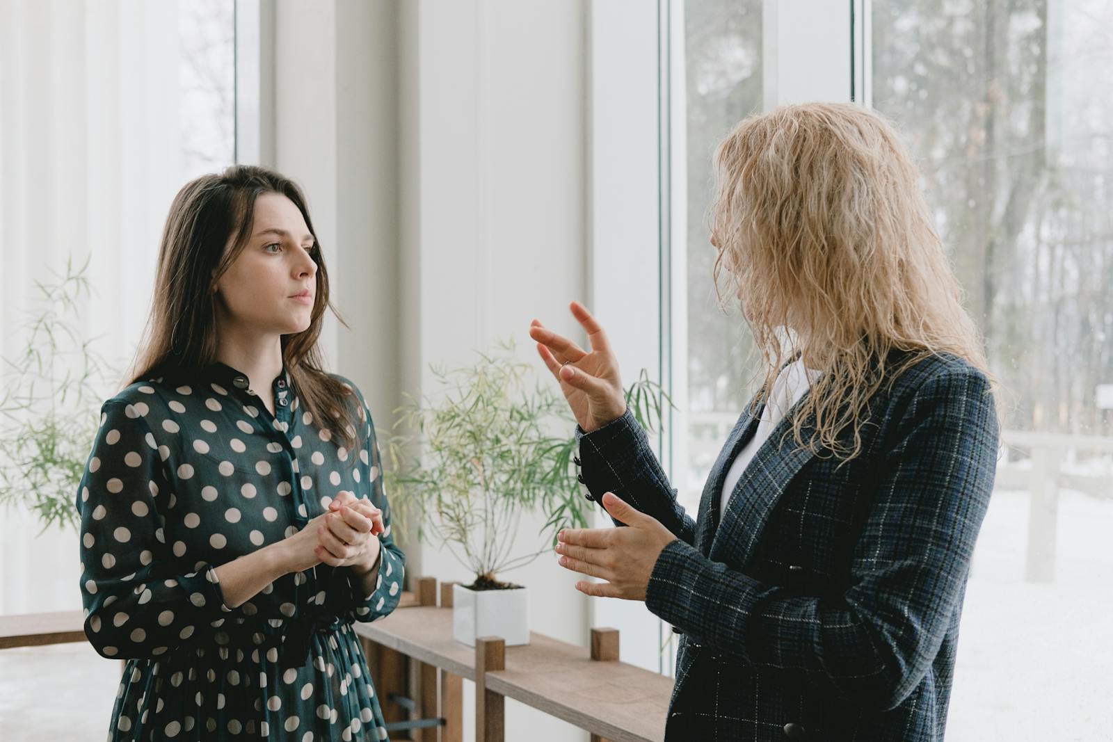 Concentrated young female colleagues in elegant outfits standing near window in light office and discussing project