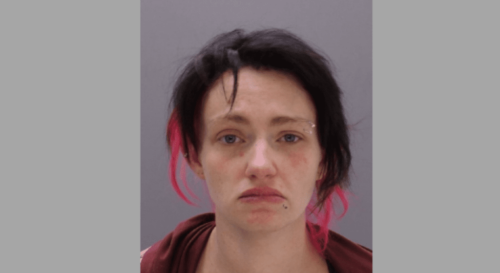 Mom Accused of Slamming Toddler Into Shopping Cart at Walmart — Child Left Unconscious as Case Draws Concern