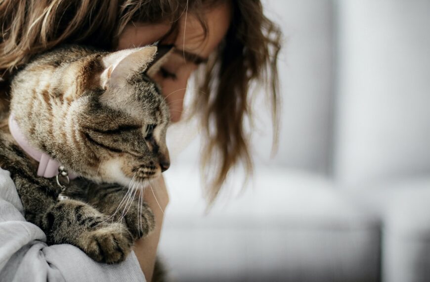 woman in white tank top carrying brown tabby cat