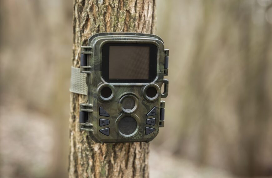 Homeowner Says She Found a Trail Camera Hidden on&hellip;