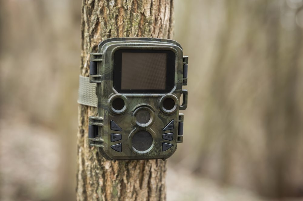 Homeowner Says She Found a Trail Camera Hidden on Her Property, and Her Husband Got Angry When She Took It Down