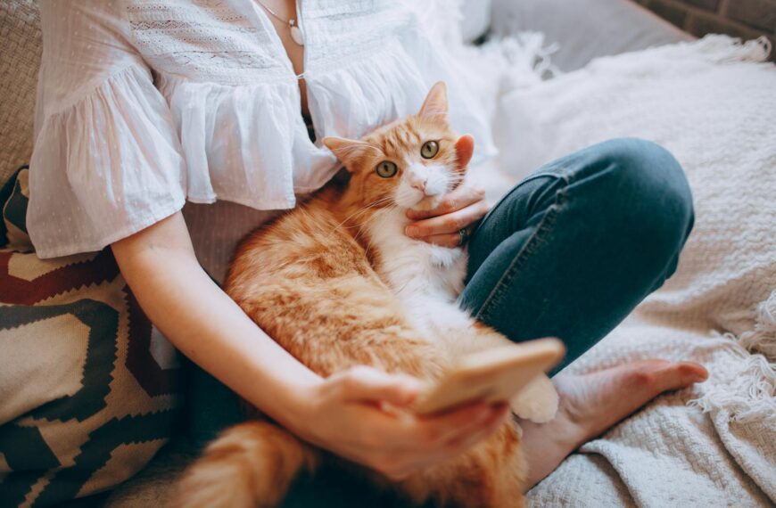 A woman holds a phone and relaxes with a ginger cat on her lap indoors.