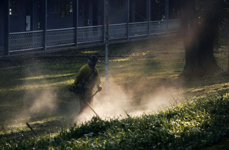 A man cuts grass in the Philippines, creating a dust cloud in the sunlight.