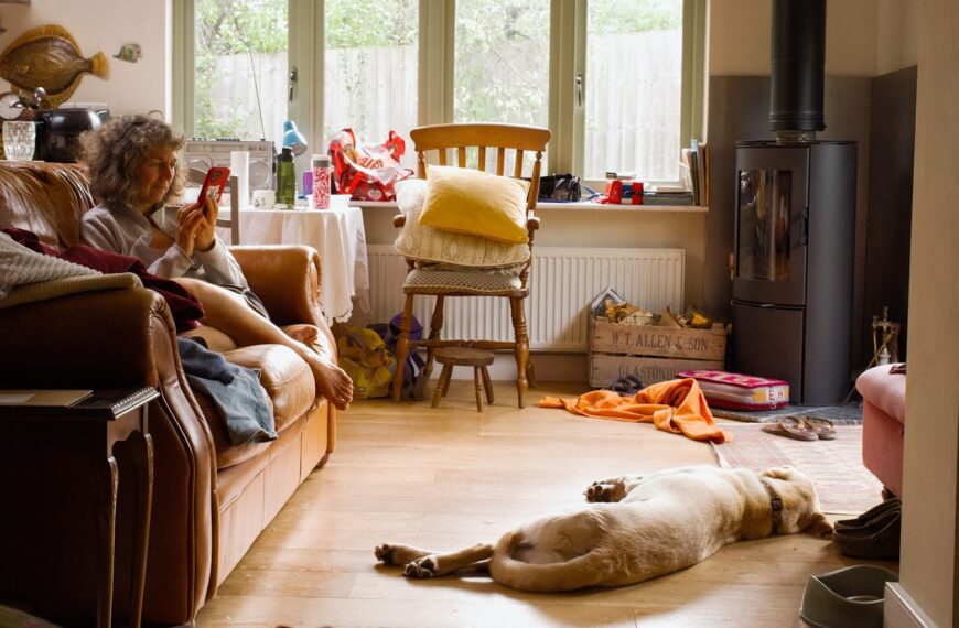 A dog laying on the floor in a living room