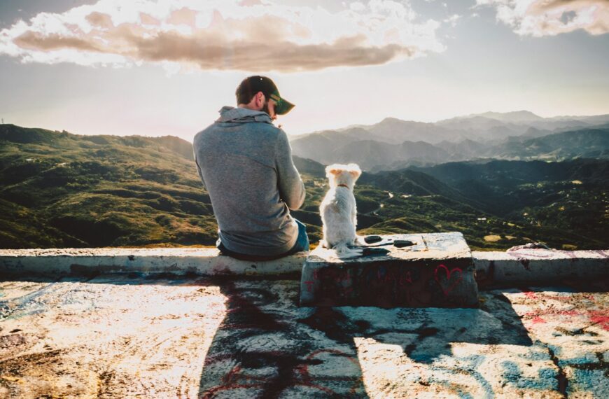 man sitting beside dog