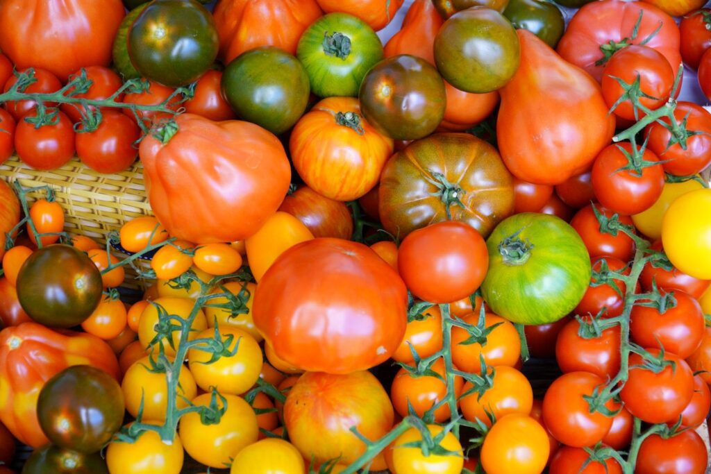 Colorful heirloom tomatoes on display at a market, showcasing variety and freshness.