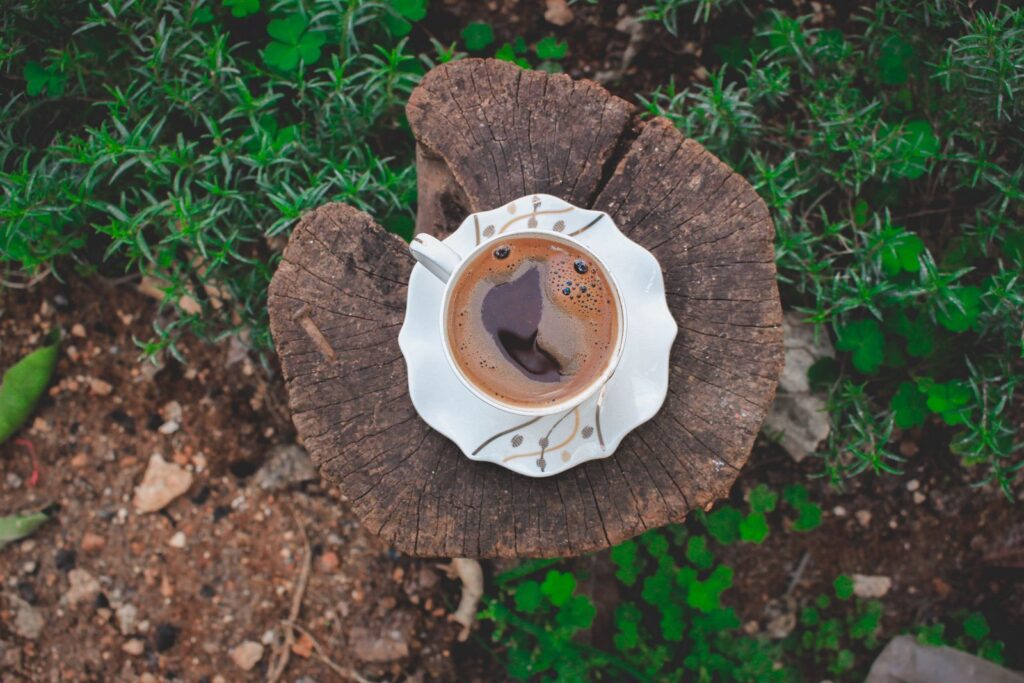 A cup of coffee rests on a tree stump surrounded by greenery, creating a rustic outdoor vibe.