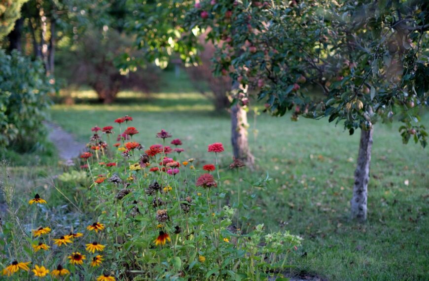 A serene outdoor garden scene featuring colorful wildflowers and lush trees under daylight.