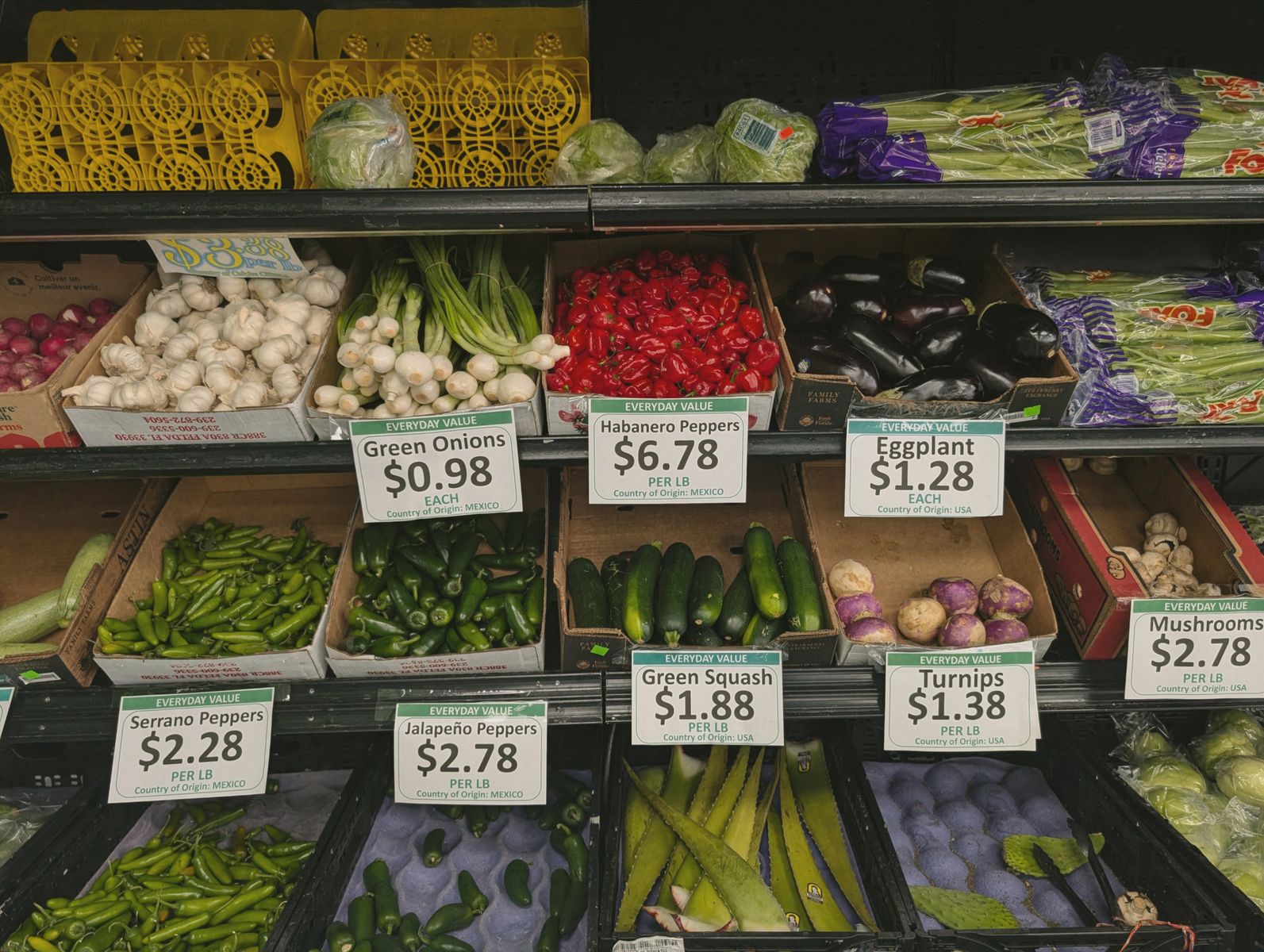 Fresh vegetables including peppers, squash, and mushrooms in a grocery store produce aisle.