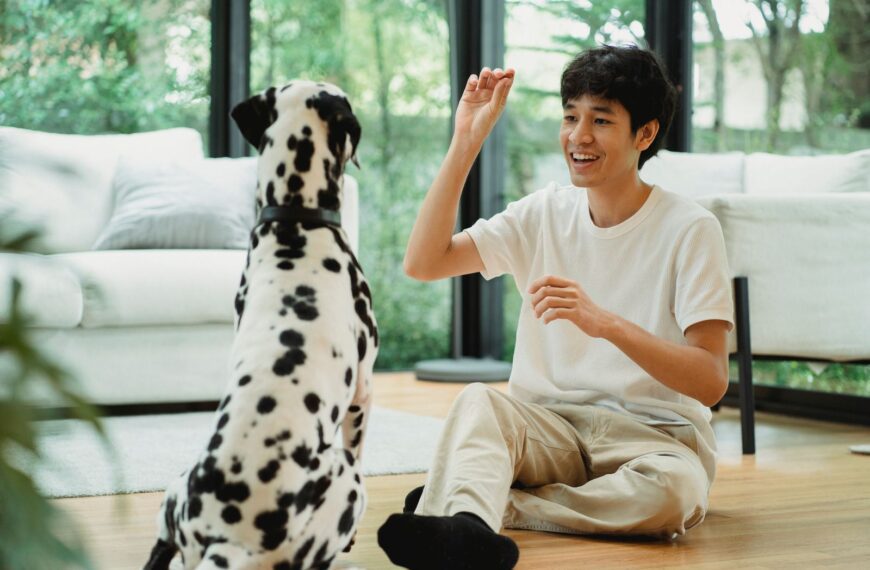 Man in light room training a Dalmatian dog with treat, surrounded by nature.