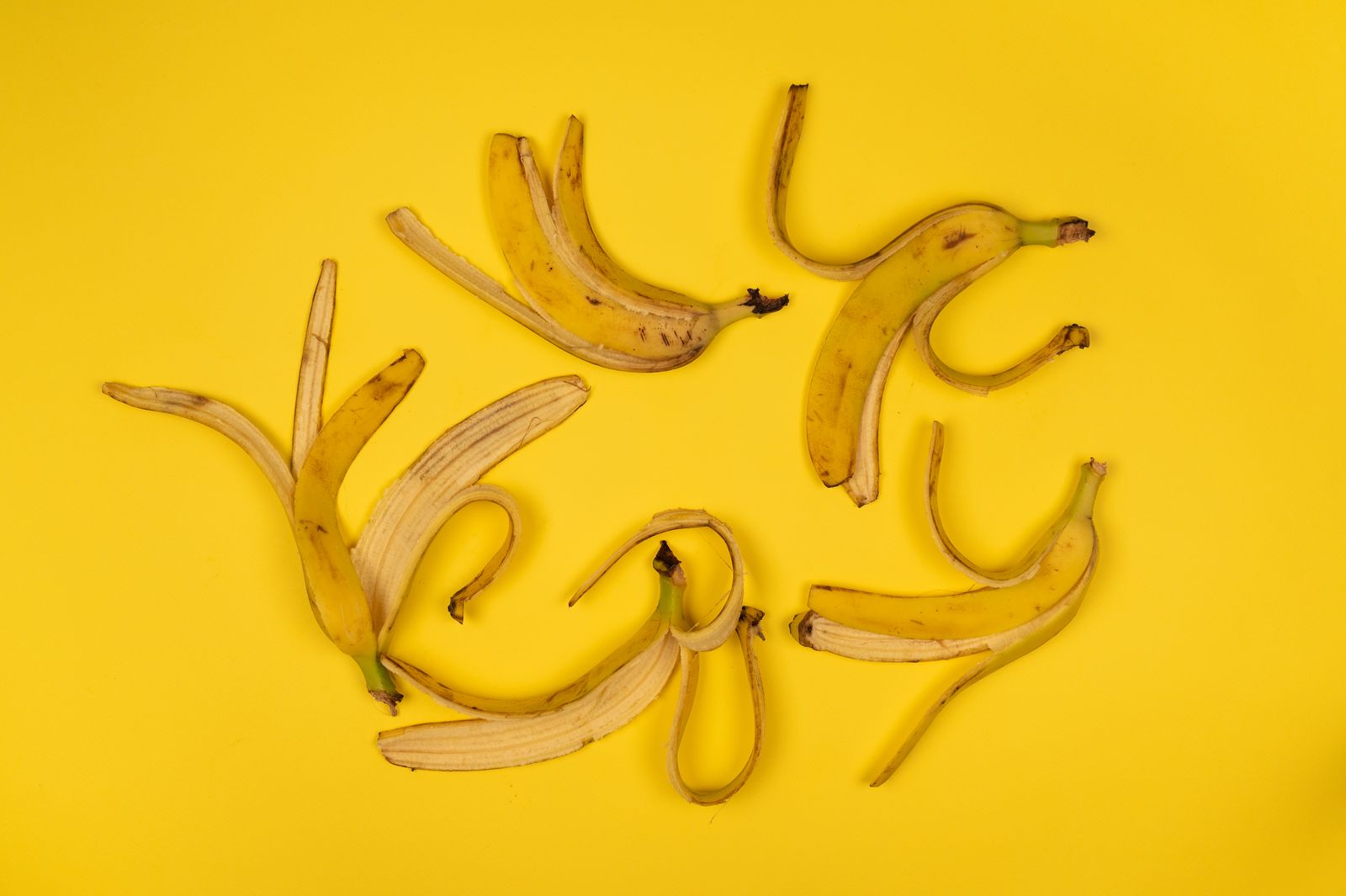 Top view of curved ripe banana peel with spots and stalks on bright yellow background