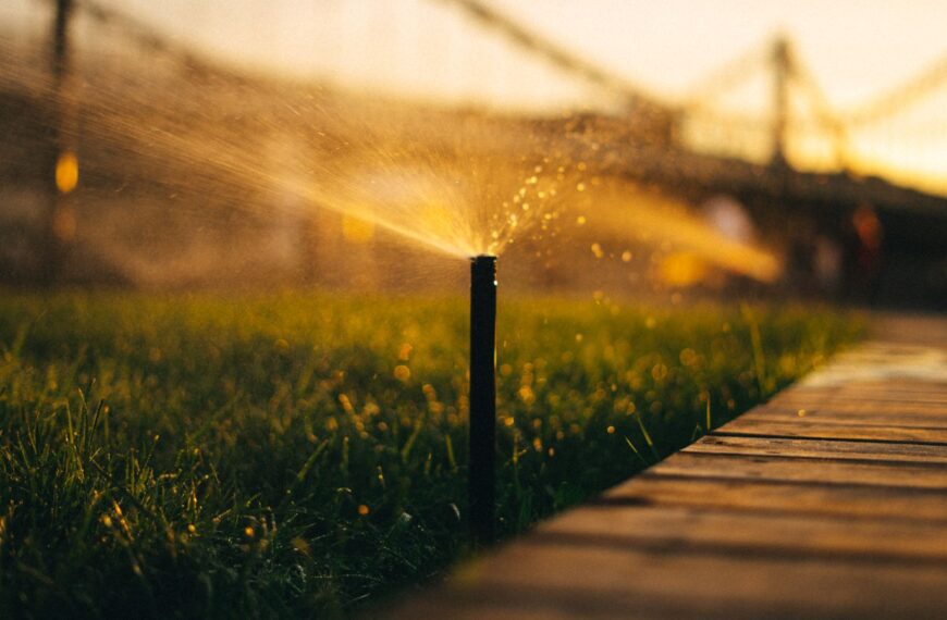 A sprinkler irrigating a green lawn with sunlight filtering through water droplets.