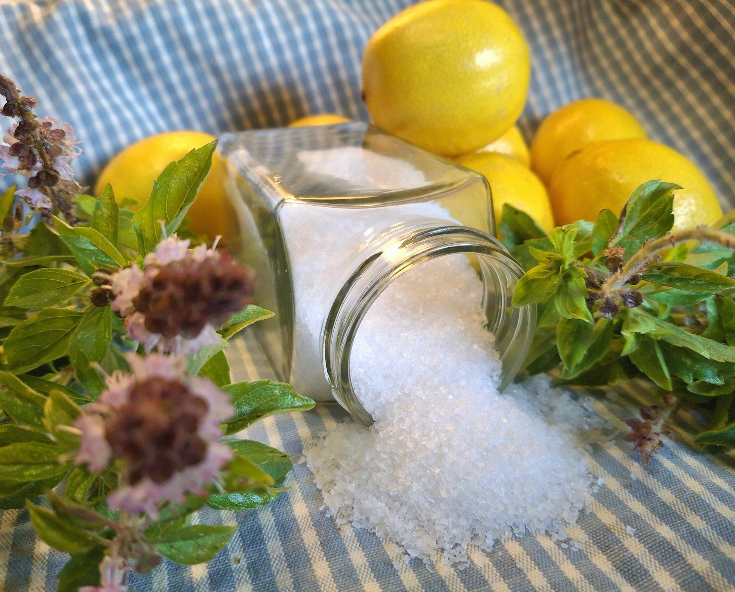 Lemons, herbs, and salt create a fresh composition.