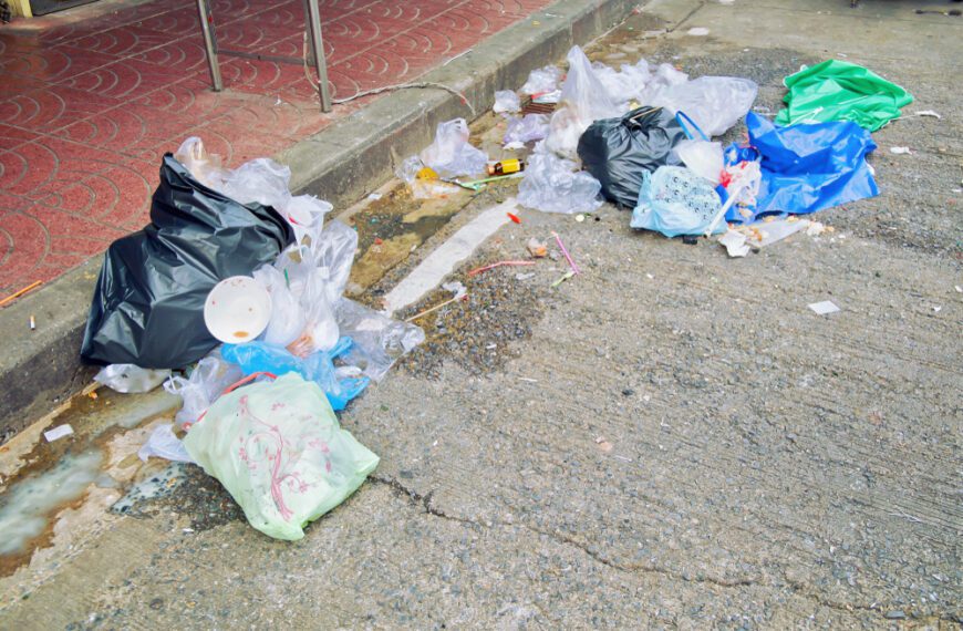 New Owner Rips Out The Trash Path Sidewalk, Then&hellip;