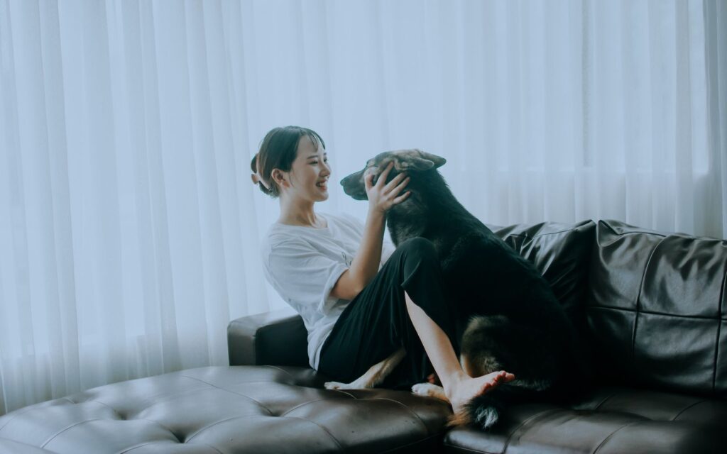 An Asian woman joyfully interacts with her dog on a comfortable leather sofa indoors.
