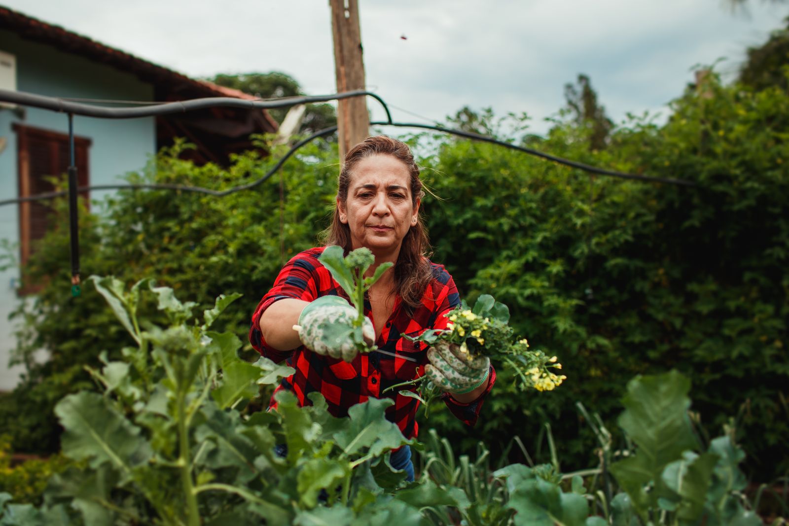 Adult woman gardening outside, tending to plants in lush, green surroundings.