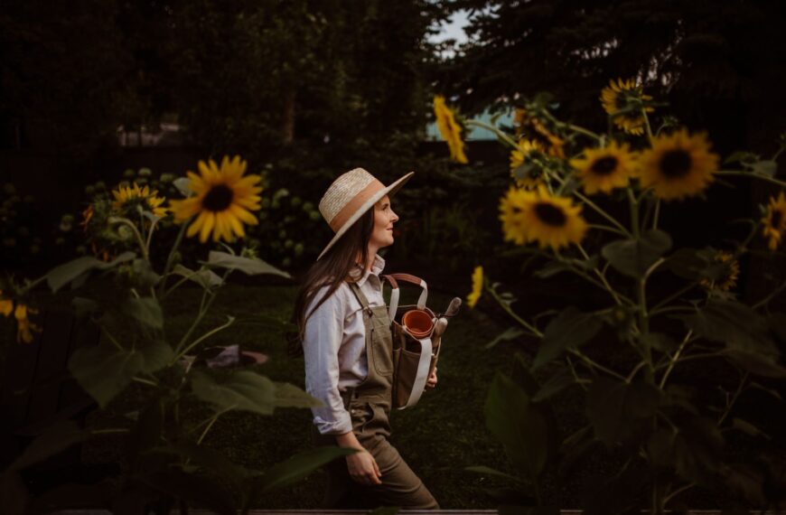 A woman gardener in overalls and hat tending sunflowers in an autumn garden.