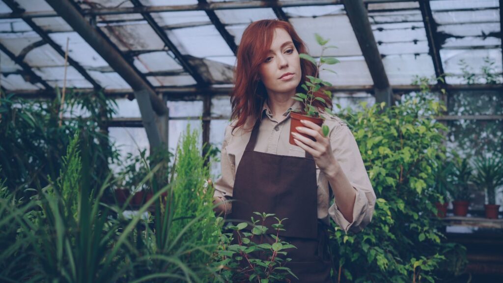 Gardener examining a potted plant in a greenhouse surrounded by lush greenery.