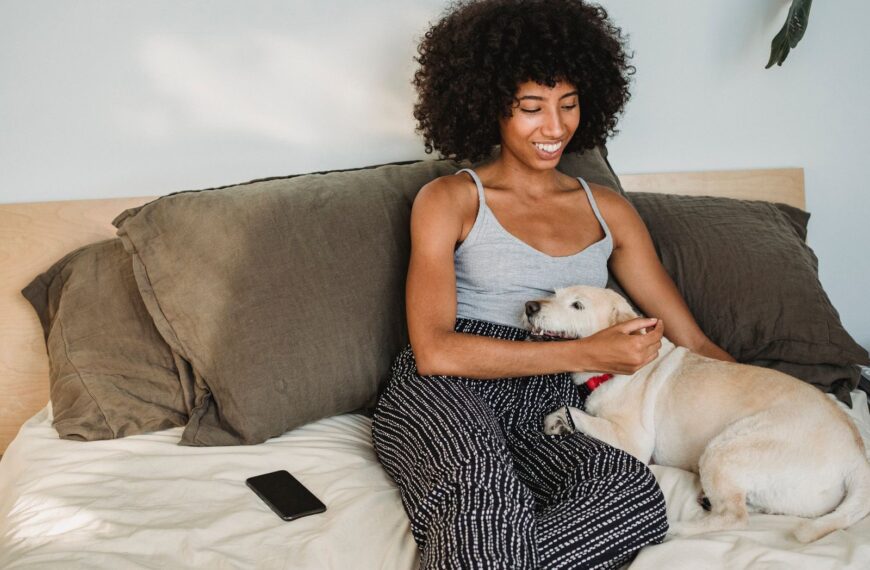 Young glad ethnic female with Afro hairstyle caressing adorable purebred dog on bed with smartphone at home