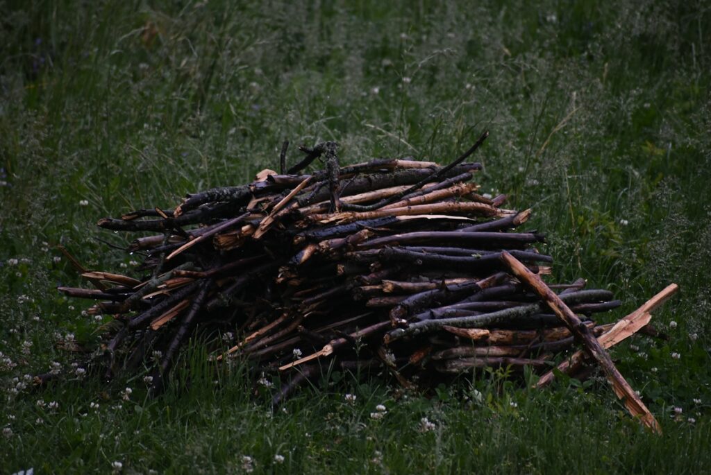 brown tree log on green grass field