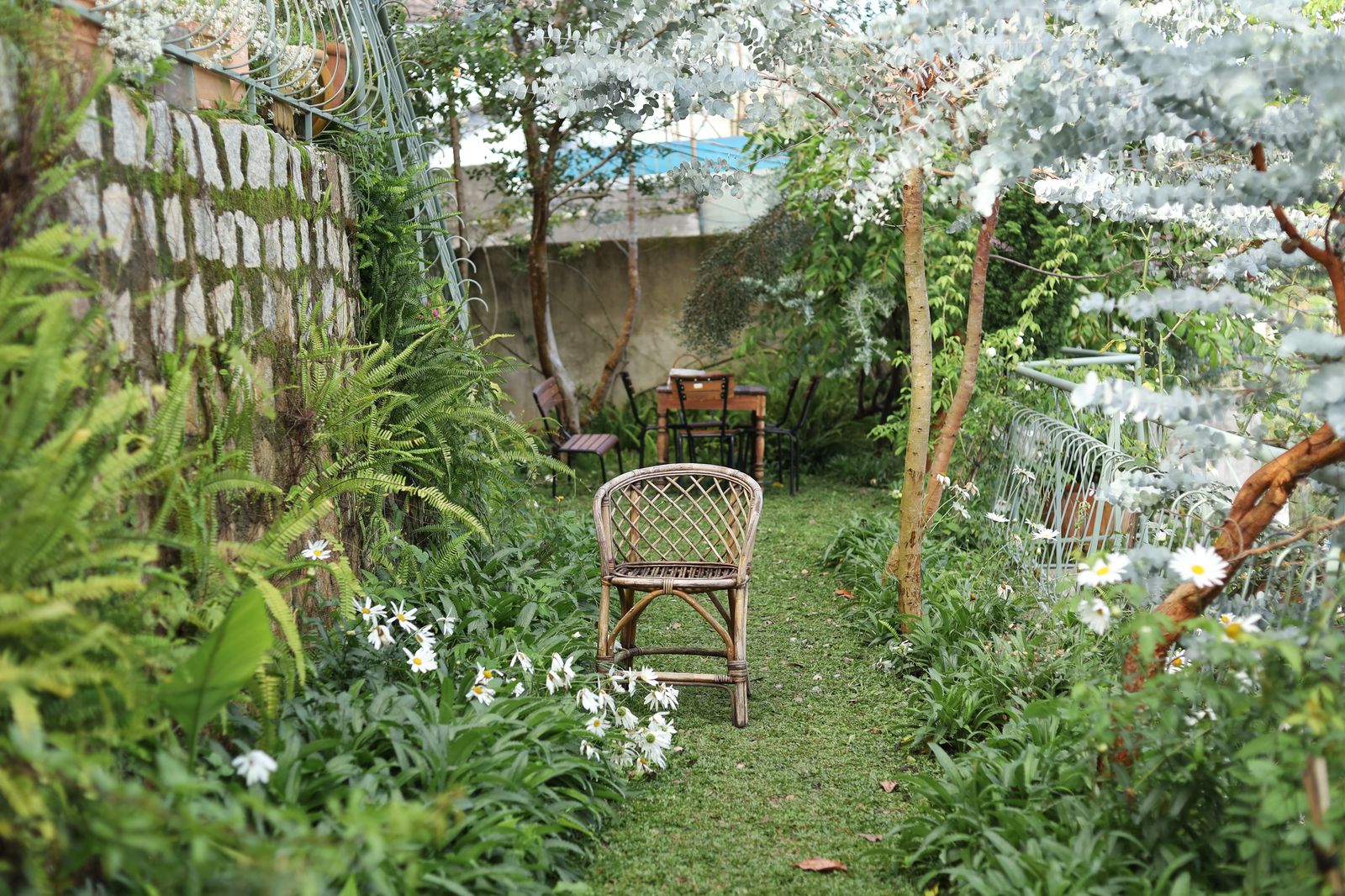 A tranquil garden path with wooden chairs surrounded by lush greenery and flowers.