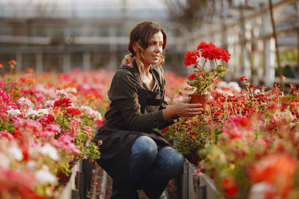 Woman kneeling amidst red blossoms in a greenhouse, surrounded by vibrant flora.