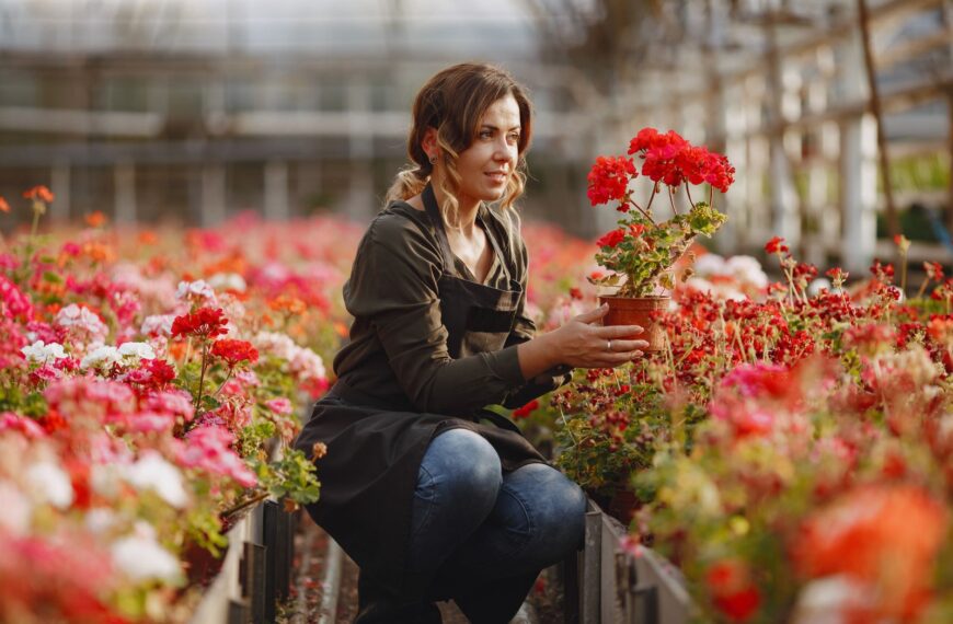 Woman kneeling amidst red blossoms in a greenhouse, surrounded by vibrant flora.