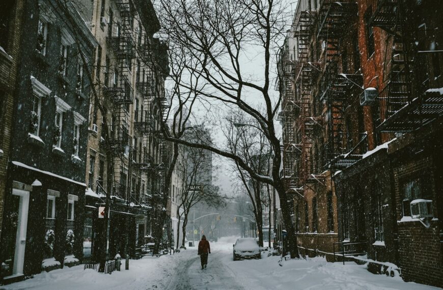 person walking between buildings near withered tree