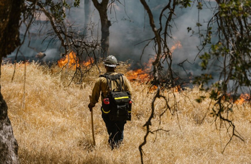 Firefighter in protective gear approaching an active wildfire near dry grassland, similar to the Hawk Fire burning near Reno, Nevada
