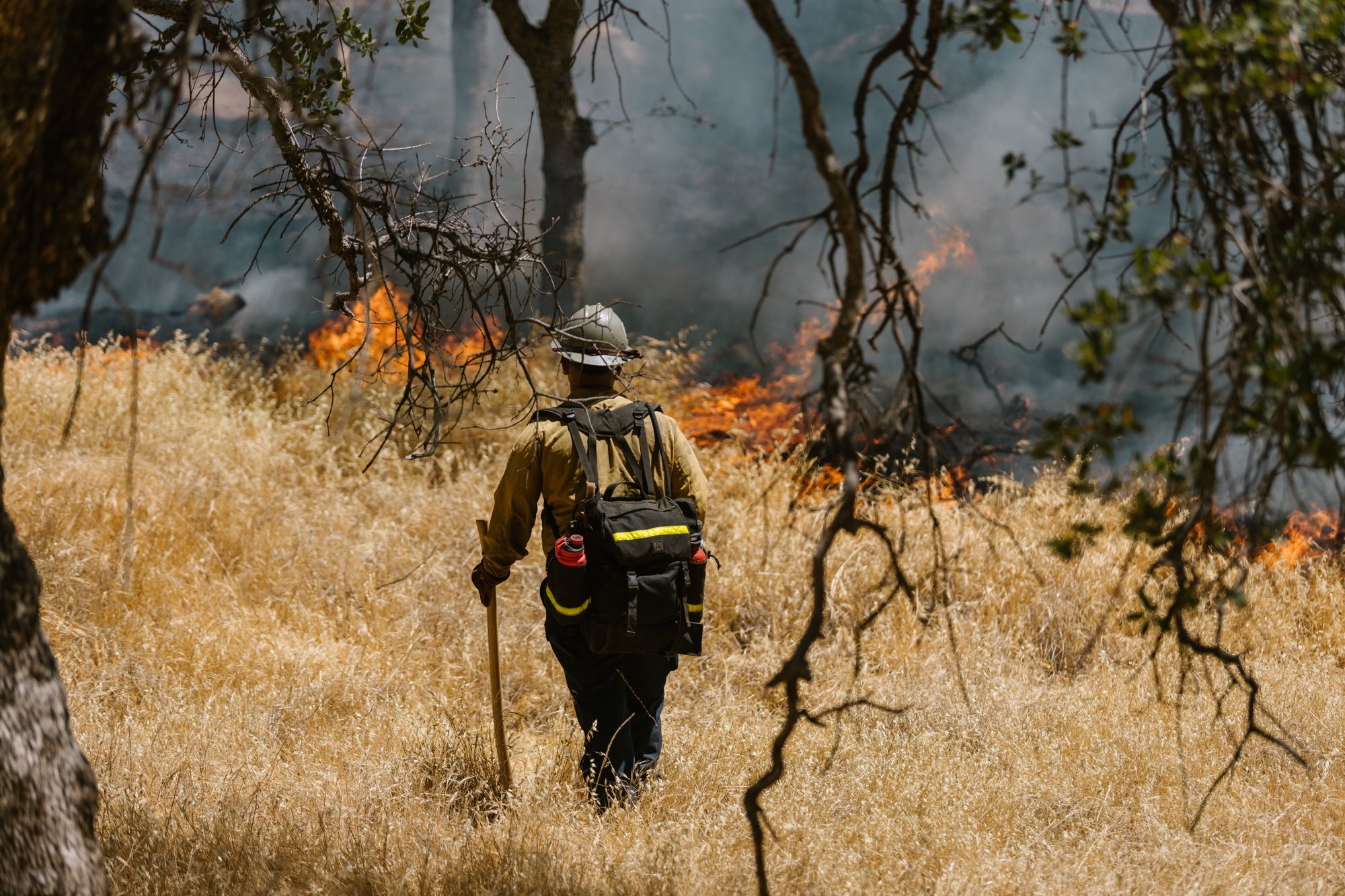 Firefighter in protective gear approaching an active wildfire near dry grassland, similar to the Hawk Fire burning near Reno, Nevada